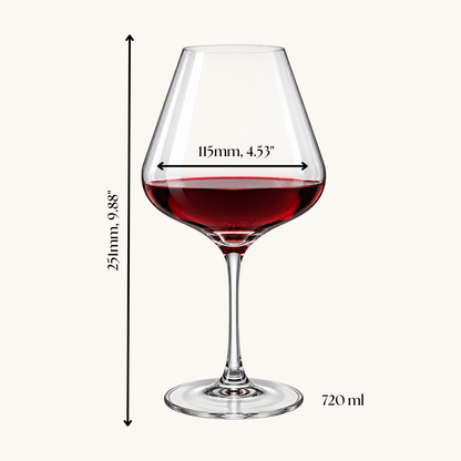 Verres à vin de Bourgogne - 2 pièces